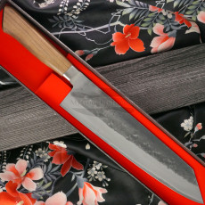 Gyuto Japanisches Messer Ittetsu Aogami 2 S/S Clad ISN-15 24cm