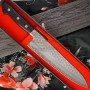 Cuchillo Japones Gyuto Ittetsu Sandvik 19C27 IWY-9005 21cm