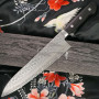 Cuchillo Japones Gyuto Ittetsu Sandvik 19C27 IWY-9005 21cm