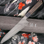 Gyuto Couteau Japonais Ittetsu VG-10 Damascus IWZ-104 21cm