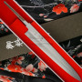 Terä Nakagawa Satoshi Ginsan Sujihiki NG-BGS270 27cm