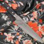 Cuchillo Japones Gyuto Tojiro Classic Damascus F-655 21cm