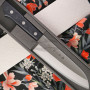 Santoku Japanisches Messer TOJIRO Basic F-316 17cm