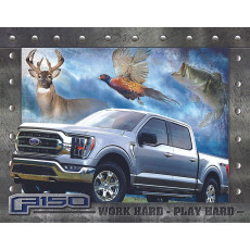 Tin sign Ford F-150 TSN2472
