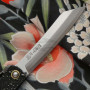 Navaja Kanekoma Higonokami Aogami Negro MZA-BLA 8cm