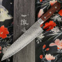 Gyuto Couteau Japonais Ittetsu VG-10 Damascus IWC-104 18cm