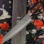 Gyuto Japanisches Messer Ittetsu VG-10 Damaskus IWC-105 21cm