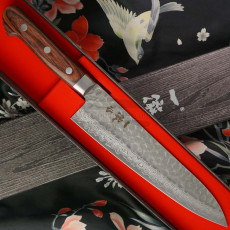 Gyuto Japanese kitchen knife Ittetsu Damascus VG10 IWC-105 21cm