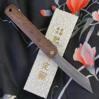 Taschenmesser Kanekoma Higonokami VG10 Tagayasan VG-TG 8cm
