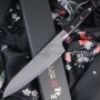 Coltello da cucina giapponese Gyuto (coltello da chef) Mcusta Zanmai Classic Pro Zebra HFZ-8004D 18cm