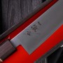 Coltello da cucina giapponese Gyuto (coltello da chef) Ittetsu Aogami Super IWK-205 18cm