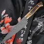 Petty Takeshi Saji Damasco VG10, hueso de toro HA4603 15cm