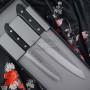 Messerset TOJIRO Basic TBS-210