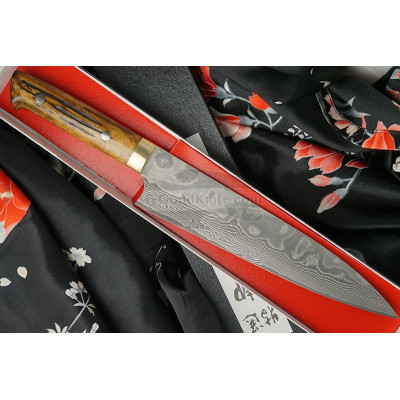 Gyuto Japanese kitchen knife Takeshi Saji VG10, bull bone HA4608 21cm - 1
