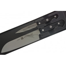 Juego de cuchillos de cocina Zwilling J.A.Henckels 2 knives 36130-002-0