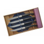 Cuchillo Chuletero Opinel Juego de 4, ebony  ОО1827 10cm - 1