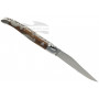 Folding knife Laguiole en Aubrac Cactus L0210CA2IFSJ1 10cm - 2