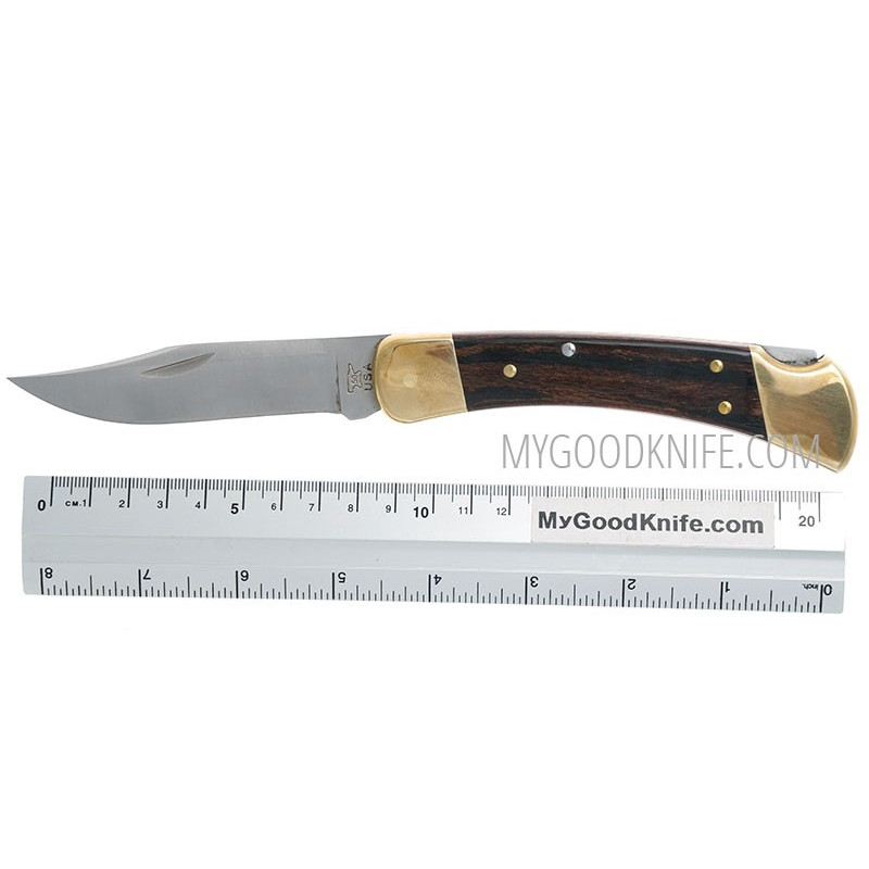Buck Knives 110 Folding Hunter Knife- 0110BRS-C India