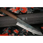 Gyuto Japanese kitchen knife Ittetsu Shirogami  IW1188 21cm - 1