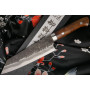 Japanese kitchen knife Takeshi Saji Bunka Iron Wood HG-3106 17cm - 3