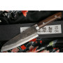 Santoku Japanese kitchen knife Takeshi Saji Iron Wood HG-3104 18cm - 2