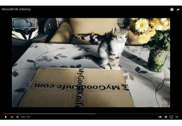 Unboxing with kitten
